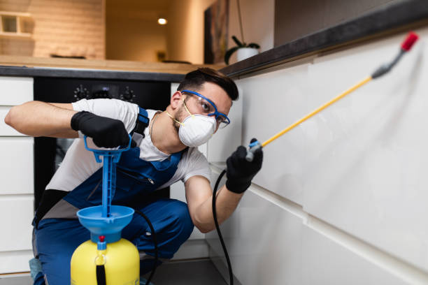 Best Pest Inspection Near Me  in Mclendon Chisholm, TX