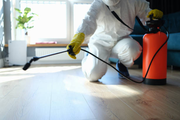 Best Local Pest Control Services  in Mclendon Chisholm, TX