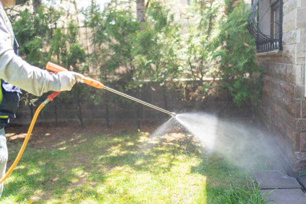 Best Wildlife Control Services  in Mclendon Chisholm, TX