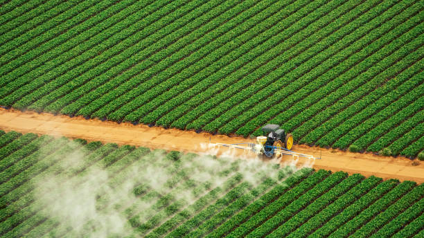 Best Pest Control for Homes  in Mclendon Chisholm, TX