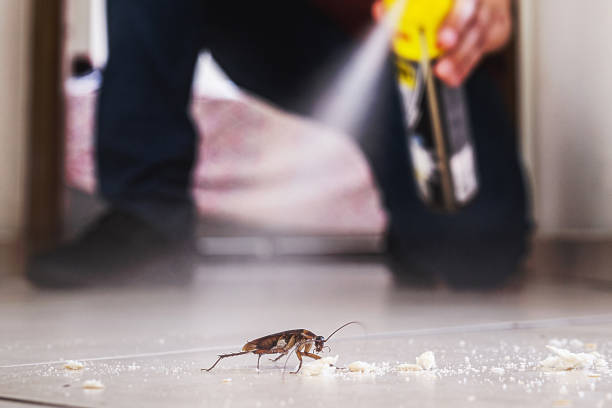 Best Exterminator Services  in Mclendon Chisholm, TX