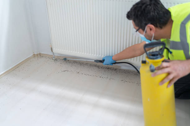 Best Wasp Removal Services  in Mclendon Chisholm, TX