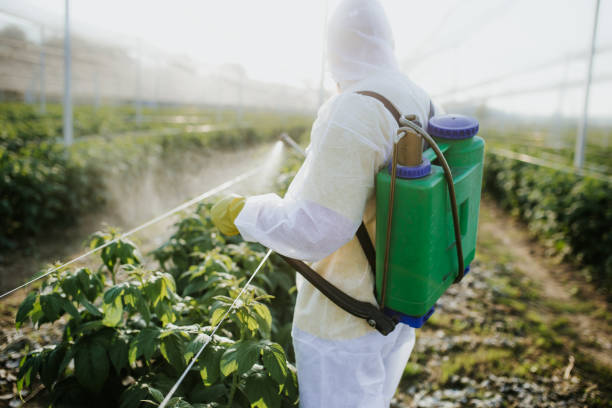Best Best Pest Control Companies  in Mclendon Chisholm, TX